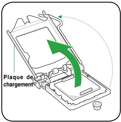 ASUS P8Z68-V LX - Installer le CPU - 3
