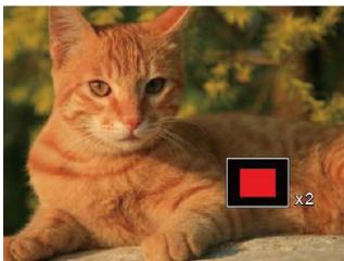KODAK X52 - Utilisation du zoom sur les images déjà prises (images fixes seulement) - 2