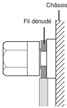 YAMAHA XP-1000 - Fiches Neutrik NL4FC - 3