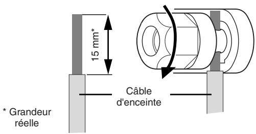 YAMAHA XP-1000 - - Vis de serrage pentagonale - 2