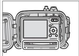 NIKON CAISSON ETANCHE WP-CP5-JUSQU-A 40 M DE PROFONDEUR - Insert Desiccant - 3