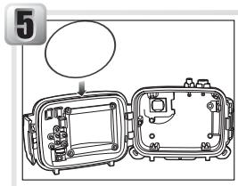NIKON CAISSON ETANCHE WP-CP5-JUSQU-A 40 M DE PROFONDEUR - Graisser le joint torique - 1
