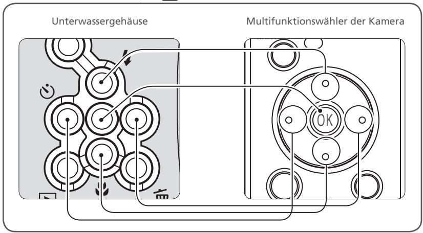 NIKON CAISSON ETANCHE WP-CP5-JUSQU-A 40 M DE PROFONDEUR - Das Unterwassergehäuse WP-CP5 in der Übersicht - 5