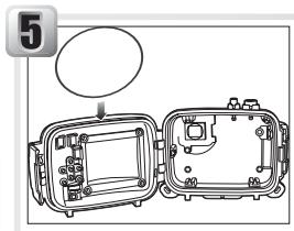 NIKON CAISSON ETANCHE WP-CP5-JUSQU-A 40 M DE PROFONDEUR - Fetten Sie den O-Ring - 1