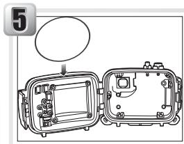 NIKON CAISSON ETANCHE WP-CP5-JUSQU-A 40 M DE PROFONDEUR - Grease the O-ring - 1