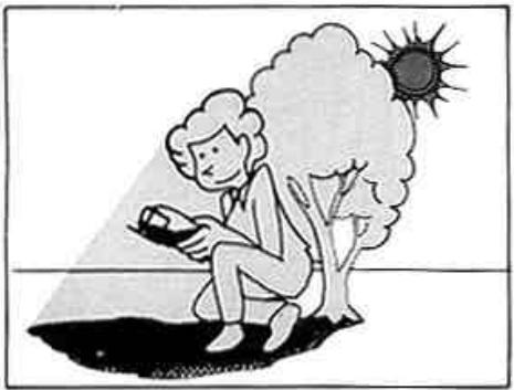 NIKON F301 - Ouvrez le dos de l'appareil. - 1