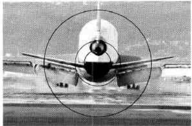 NIKON F301 - Cadrage et mise au point. - 6