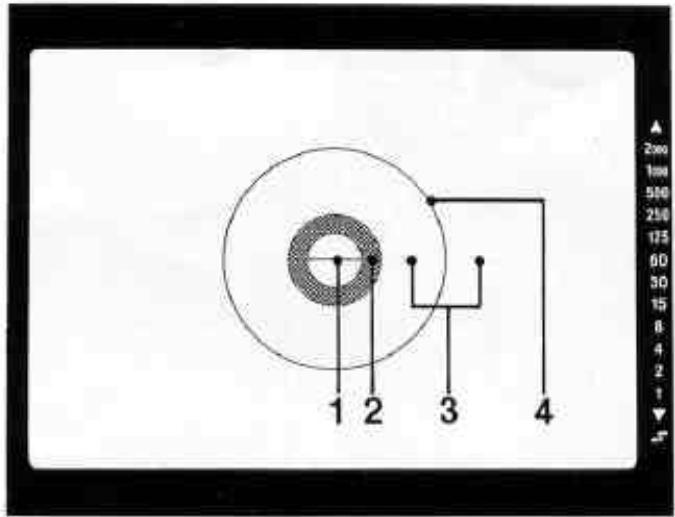 NIKON F301 - PRISE DE VUES EN MODE P - 4