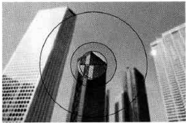 NIKON F301 - Cadrage et mise au point. - 1