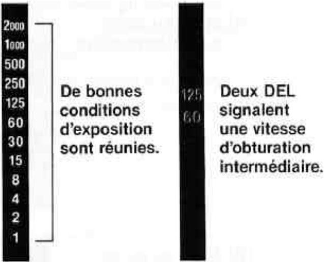 NIKON F301 - Cadrage et mise au point. - 9