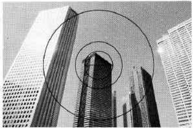 NIKON F301 - Cadrage et mise au point. - 2