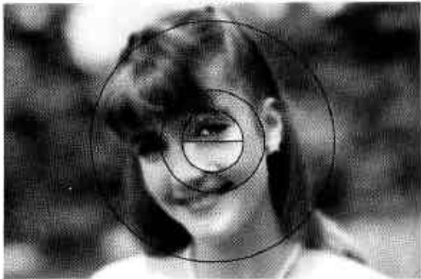 NIKON F301 - Cadrage et mise au point. - 3