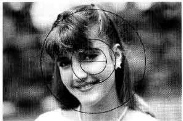 NIKON F301 - Cadrage et mise au point. - 4