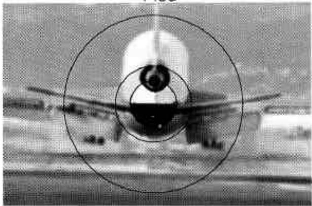 NIKON F301 - Cadrage et mise au point. - 5