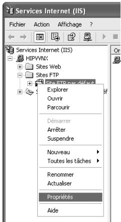 NIKON WT-2 - Installation d'un site FTP - 2