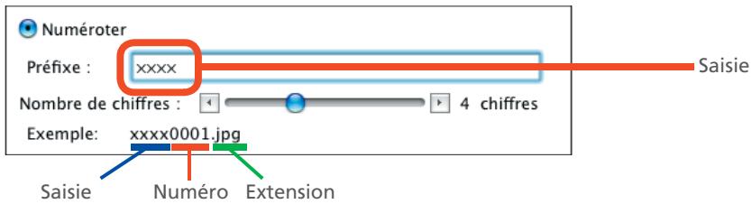 NIKON VIEW 5.5 - Numéroter - 1