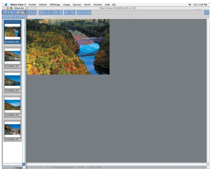NIKON VIEW 5.5 - Fenêtre - 3