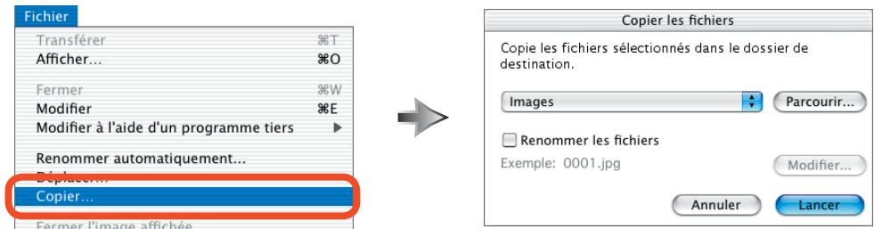 NIKON VIEW 5.5 - Copier plusieurs fichiers et dossiers - 1