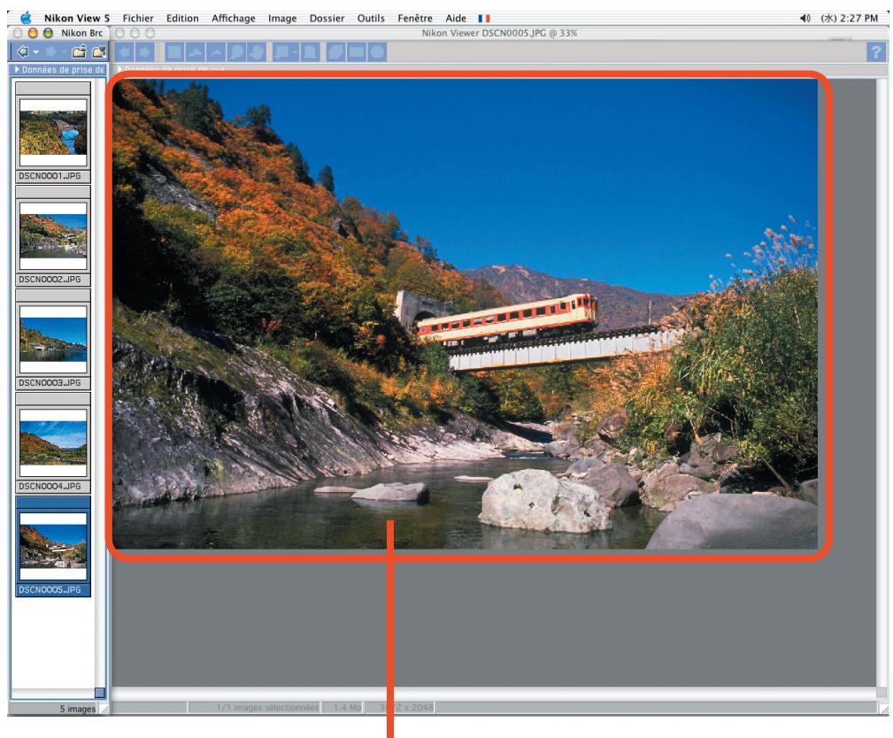 NIKON VIEW 5.5 - Afficher simultanément les images dans Nikon Browser et Nikon Viewer - 3