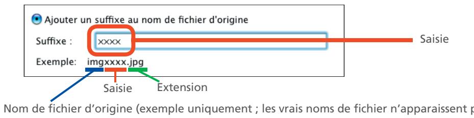 NIKON VIEW 5.5 - Ajouter un suffixe au nom de fichier d'origine - 1