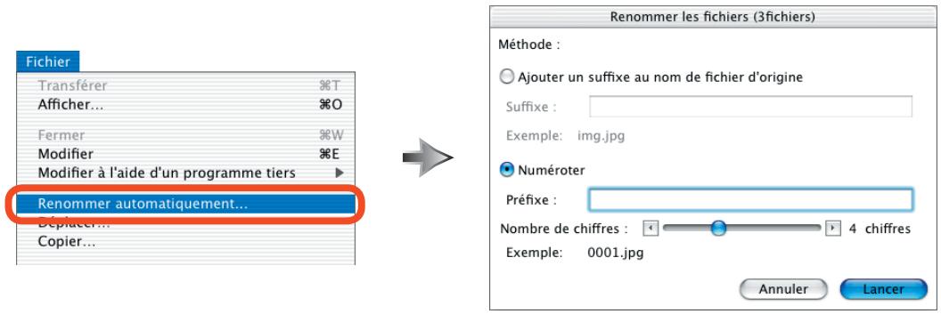 NIKON VIEW 5.5 - Renommer automatiquement les fichiers et dossiers - 1