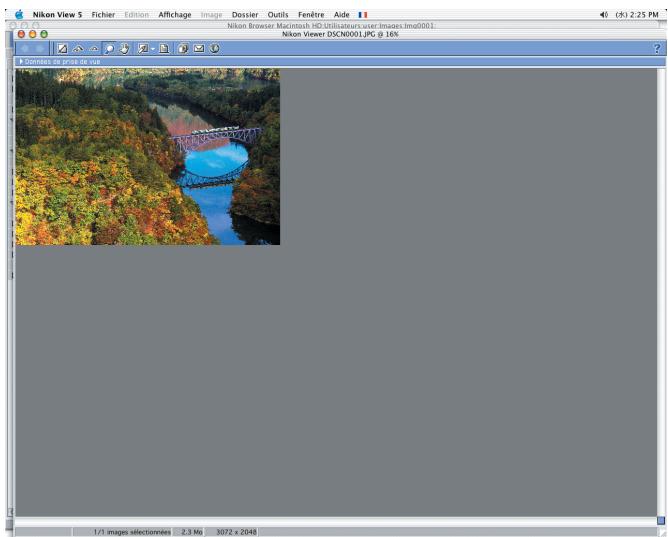 NIKON VIEW 5.5 - Fenêtre - 1