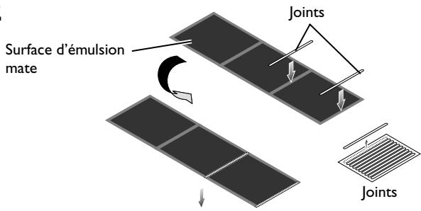 NIKON FH-869G - Utilisation du portefilm recouvert d'un verre FH-869G pour film Brownie : PRECAUTIONS A PRENDRE - 3