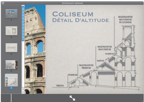 Architecture italienne COLISEUM DÉTAIL D'ALTITUDE MAENIANUM SECUNDUM IN LEGNEUS MAENIANUM SECUNDUM SUMMUM IMMUM MAENIANUM PRIMUM PODUM ARENA -6 0 -6 0