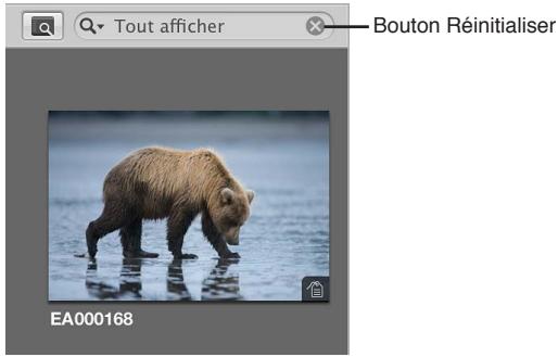APPLE APERTURE 3.3 - Recherches rapides à l'aide du champ de recherche du menu local - 2