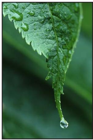 APPLE APERTURE 3.3 - Pour ajuster les niveaux d'une image en fonction de la luminance - 1