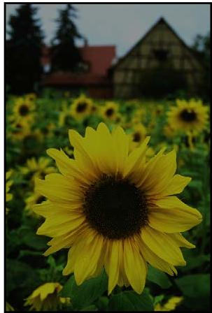 APPLE APERTURE 3.3 - Utilisation du bouton Exposition automatique - 1