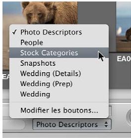 APPLE APERTURE 3.3 - Choix d'un groupe de mots-clés prédéfinis - 1