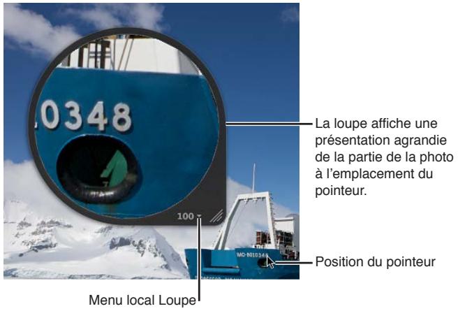 APPLE APERTURE 3.3 - Utilisation du pointeur pour agrandir certaines parties d'une photo - 1