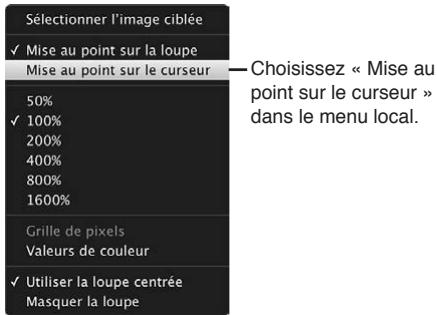 APPLE APERTURE 3.3 - Pour agrandir certaines parties d'une photo à l'aide du pointeur - 1