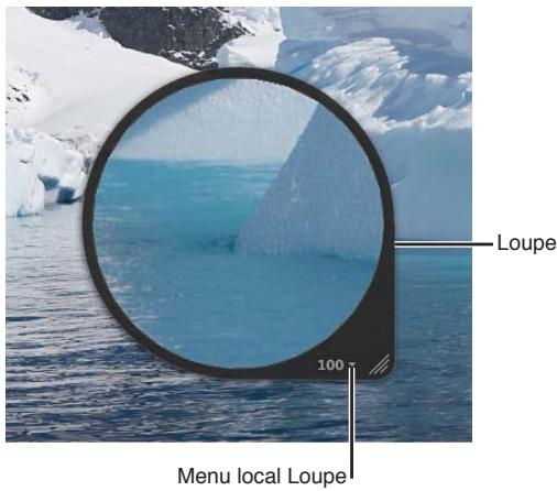 APPLE APERTURE 3.3 - Pour afficher la loupe - 1