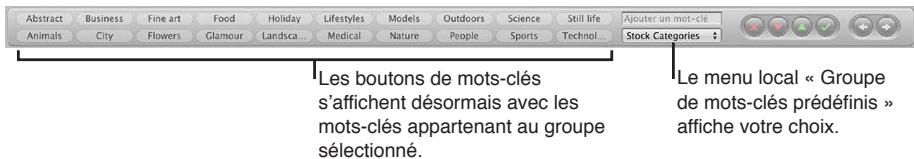 APPLE APERTURE 3.3 - Choix d'un groupe de mots-clés prédéfinis - 2