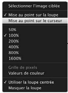 APPLE APERTURE 3.3 - Pour réduire la taille de la loupe - 1