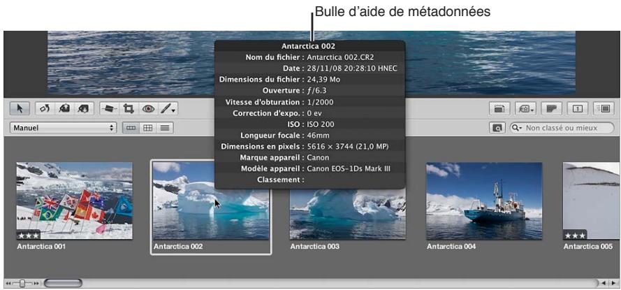 APPLE APERTURE 3.3 - Vue d'ensemble de l'utilisation des métadonnées - 2