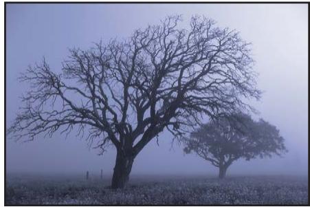 APPLE APERTURE 3.3 - Utilisation des commandes de couleur monochrome - 2