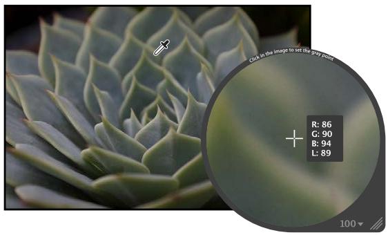 APPLE APERTURE 3.3 - Pour définir le point gris d'une image - 2