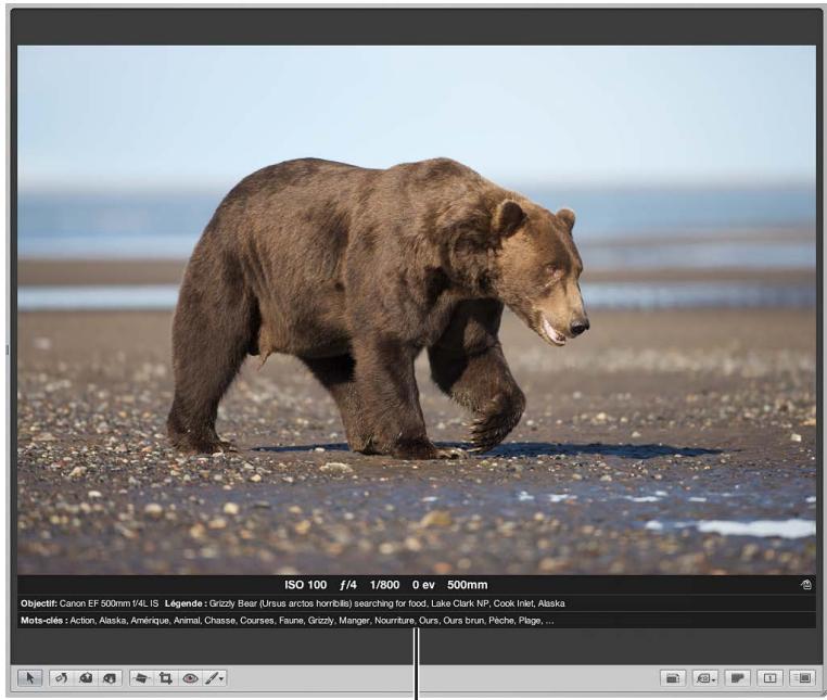 APPLE APERTURE 3.3 - Vue d'ensemble de l'utilisation des métadonnées - 1
