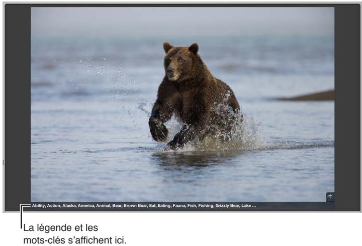 APPLE APERTURE 3.3 - Affichage des métadonnées associées aux photos - 1