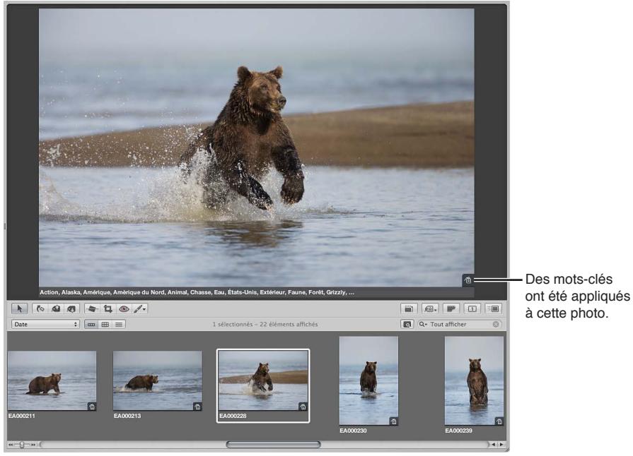 APPLE APERTURE 3.3 - Utilisation des incrustations de badges - 1