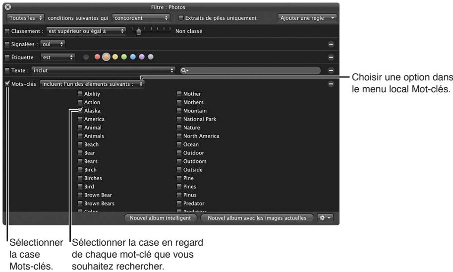 APPLE APERTURE 3.3 - Pour rechercher des photos par mots-clés - 1