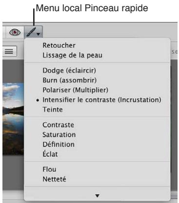 APPLE APERTURE 3.3 - Vue d'ensemble des ajustements appliqués au pinceau - 5
