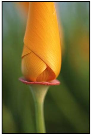 APPLE APERTURE 3.3 - Utilisation des commandes de vignettage - 1