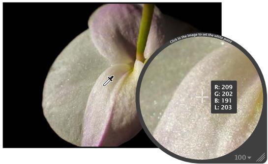 APPLE APERTURE 3.3 - Pour définir le point blanc d'une image - 2