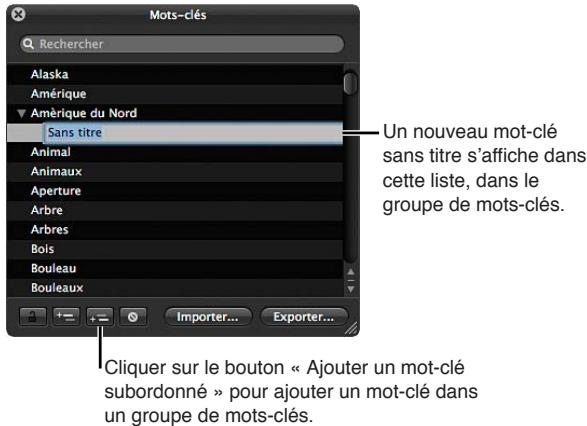 APPLE APERTURE 3.3 - Pour ajouter des mots-clés à la bibliothèque de mots-clés - 3
