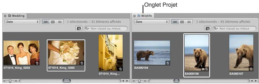 APPLE APERTURE 3.3 - Travail avec plusieurs navigateurs ouverts - 1