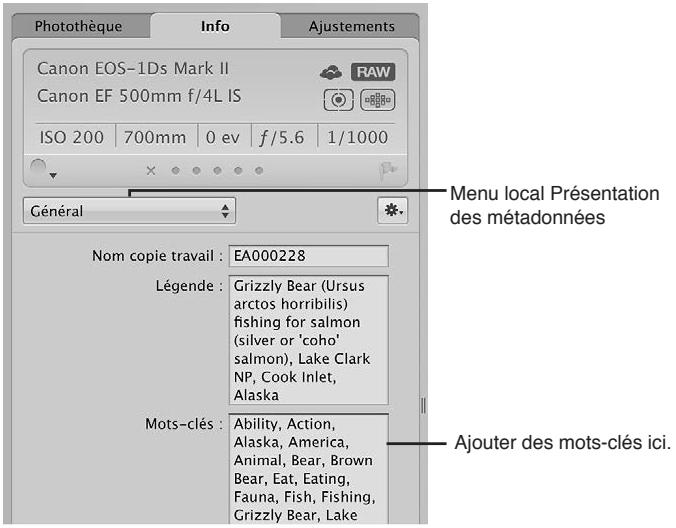 APPLE APERTURE 3.3 - Vue d'ensemble des mots-clés - 5
